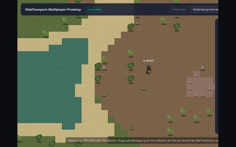 2D-Multiplayer mit WebTransport über HTTP/3: Screenshot 1