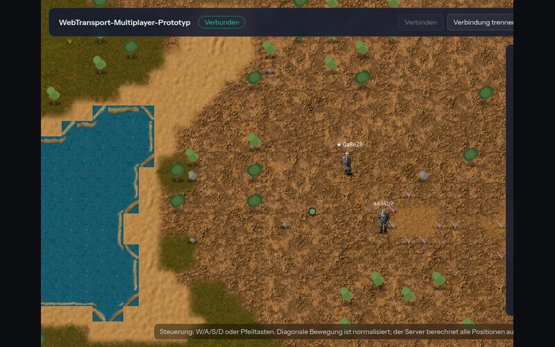 2D-Multiplayer mit WebTransport über HTTP/3: Screenshot 4